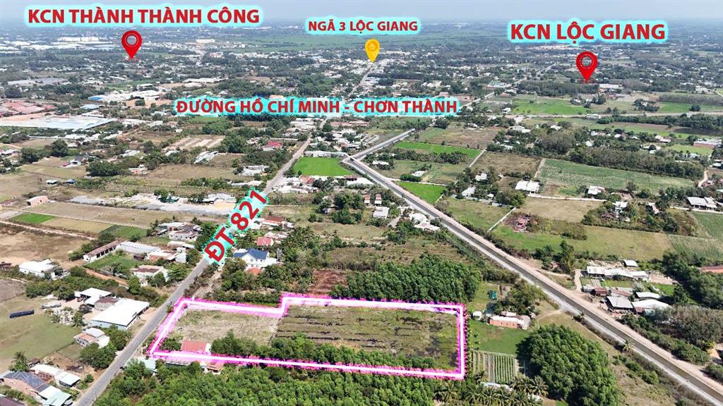 1 mẫu đất thổ cư mặt tiền đt 821, đức hòa, long an, giá rẻ cho nhà đầu tư lớn