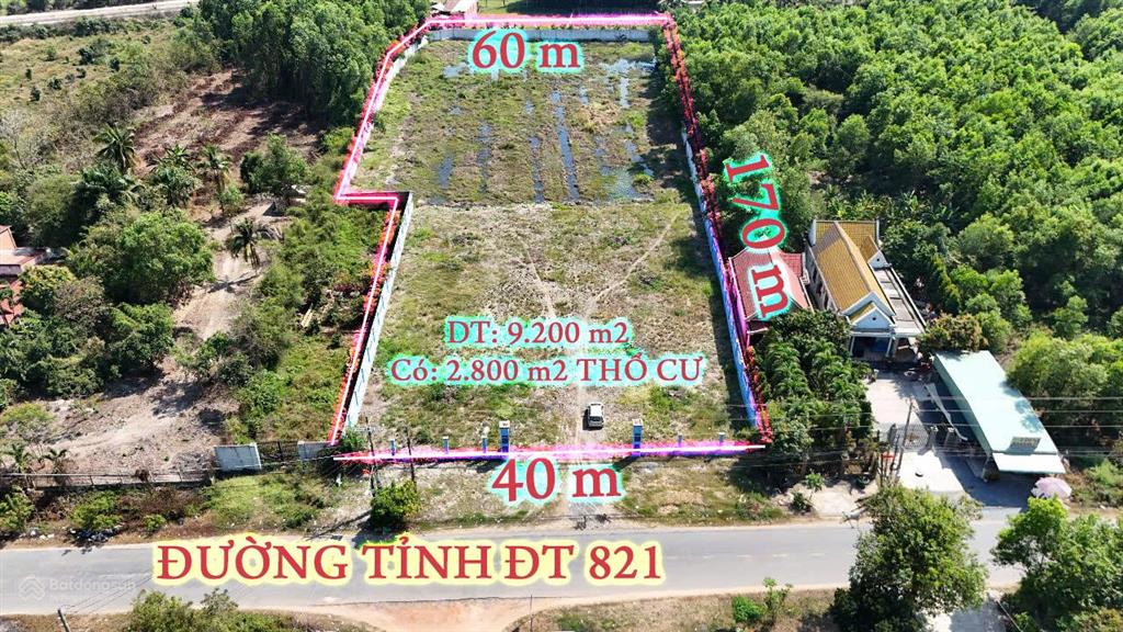 1 mẫu đất thổ cư mặt tiền đt 821, đức hòa, long an, giá rẻ cho nhà đầu tư lớn