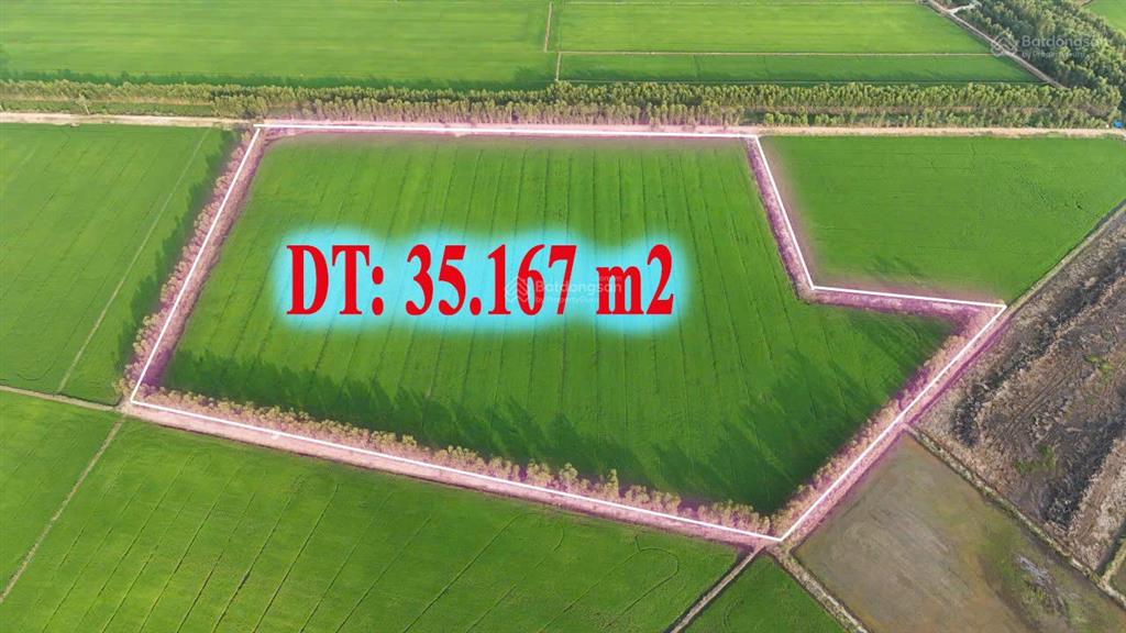 Hơn 3,5 mẫu đất lúa đường ô tô, trung tâm huyện đức huệ, long an giá đáng đầu tư