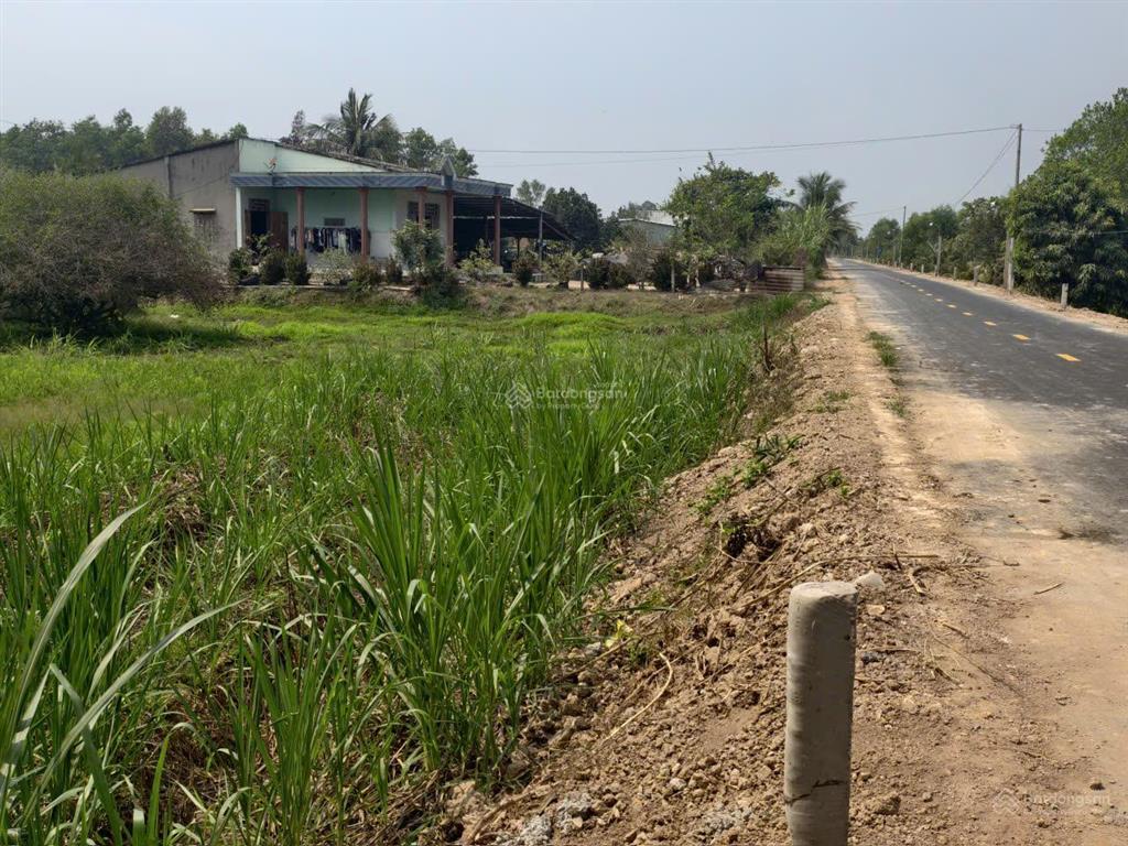 Lô đất nhà vườn, mặt tiền đường nhựa view sông vàng cỏ, trung tâm huyện đức huệ, hàng hiếm