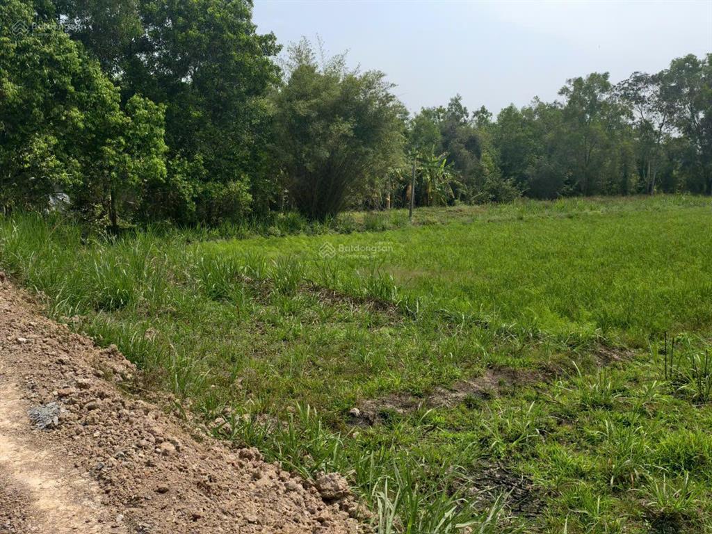 Lô đất nhà vườn, mặt tiền đường nhựa view sông vàng cỏ, trung tâm huyện đức huệ, hàng hiếm