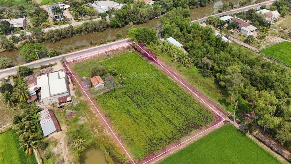 Lô đất nhà vườn, mặt tiền đường nhựa view sông vàng cỏ, trung tâm huyện đức huệ, hàng hiếm