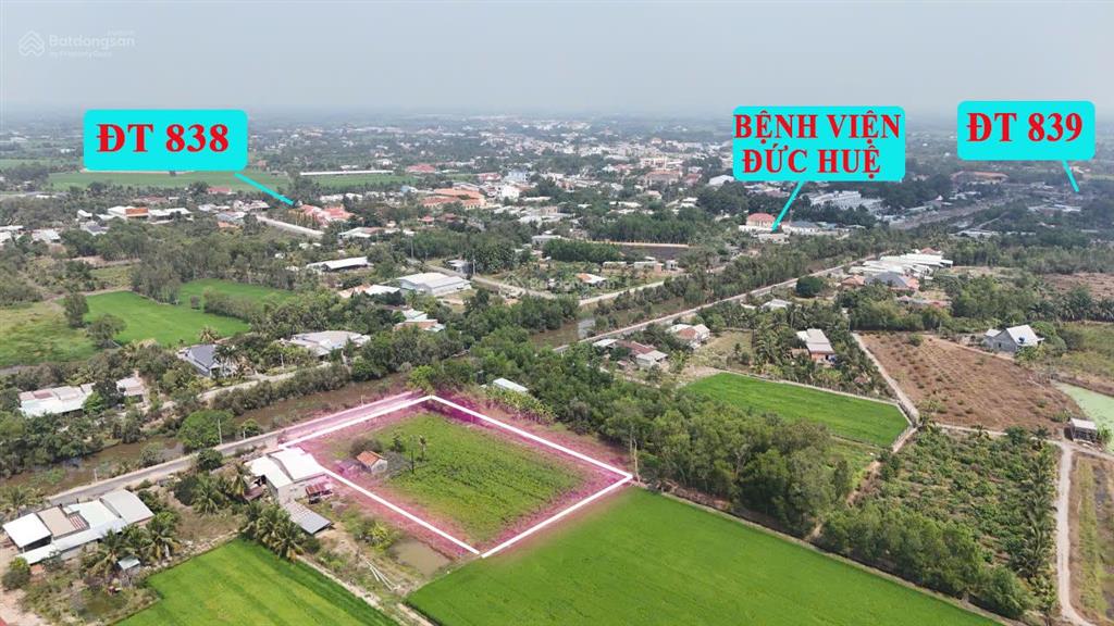 Lô đất nhà vườn, mặt tiền đường nhựa view sông vàng cỏ, trung tâm huyện đức huệ, hàng hiếm