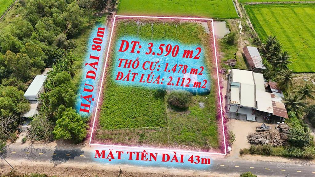 Lô đất nhà vườn, mặt tiền đường nhựa view sông vàng cỏ, trung tâm huyện đức huệ, hàng hiếm