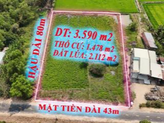 Lô đất nhà vườn, mặt tiền đường nhựa view sông vàng cỏ, trung tâm huyện đức huệ, hàng hiếm