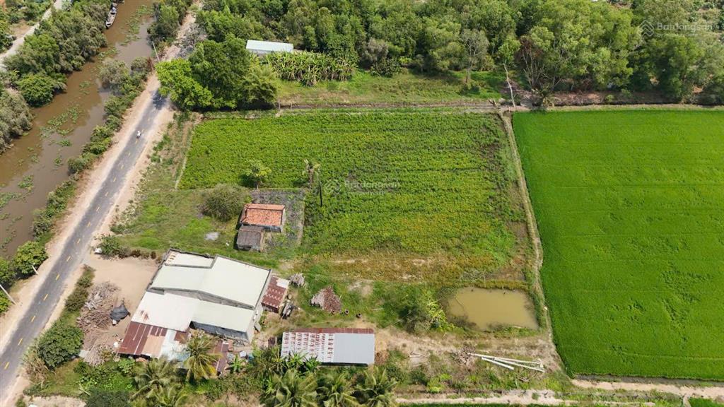 Lô đất nhà vườn, mặt tiền đường nhựa view sông vàng cỏ, trung tâm huyện đức huệ, hàng hiếm