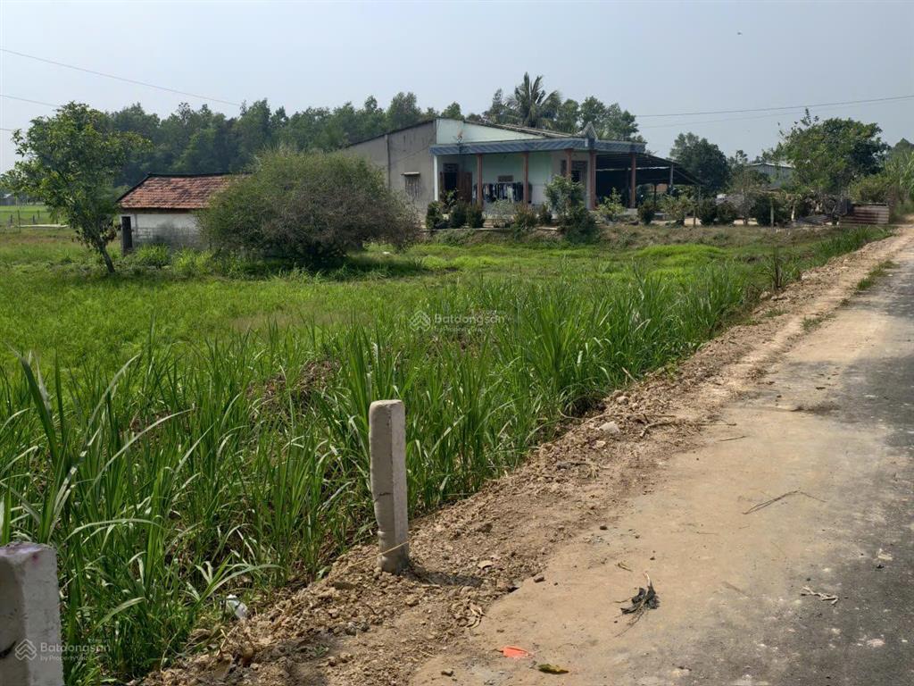 Lô đất nhà vườn, mặt tiền đường nhựa view sông vàng cỏ, trung tâm huyện đức huệ, hàng hiếm