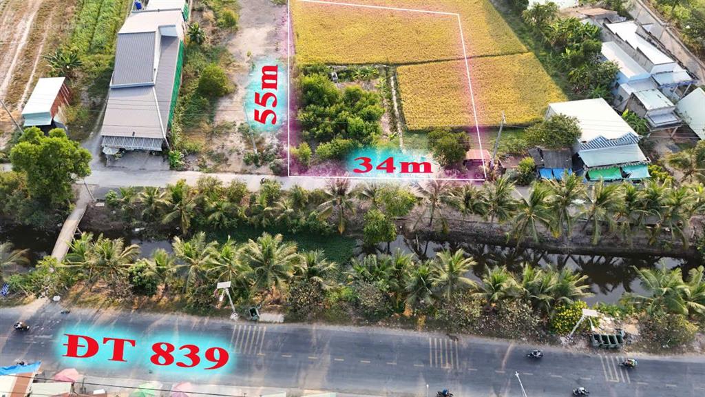 Siêu phẩm nhà vườn 1.800 m2, tại trung tâm đức huệ, long an....cách tphcm 25km