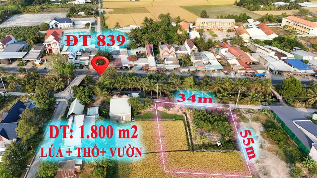 Siêu phẩm nhà vườn 1.800 m2, tại trung tâm đức huệ, long an....cách tphcm 25km