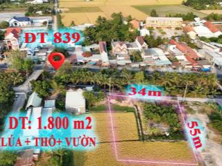 Siêu phẩm nhà vườn 1.800 m2, tại trung tâm đức huệ, long an....cách tphcm 25km