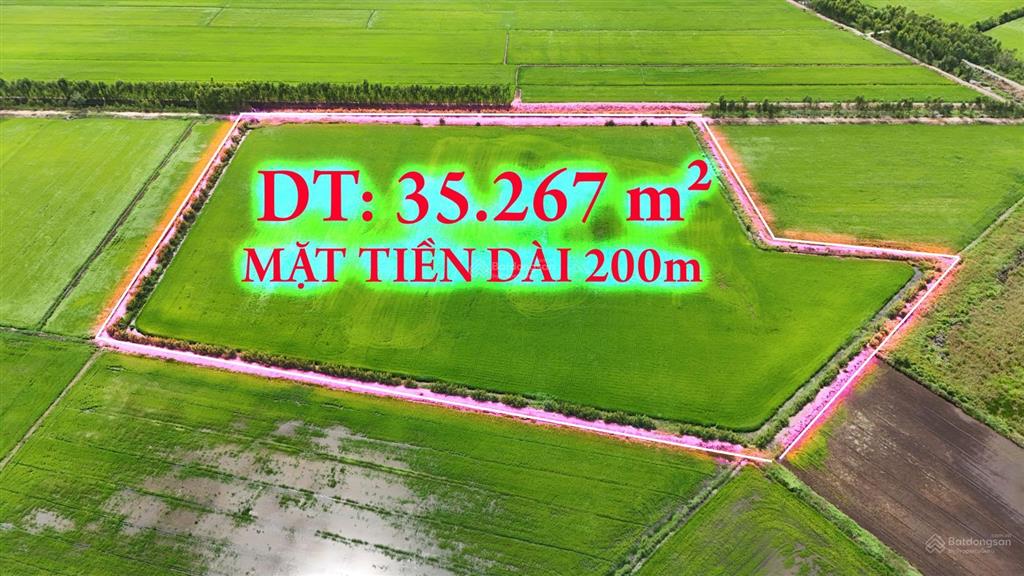 3,5 mẫu đất đường dự án tân an  tân ninh, trung tâm đức huệ giá rẻ đáng đầu tư