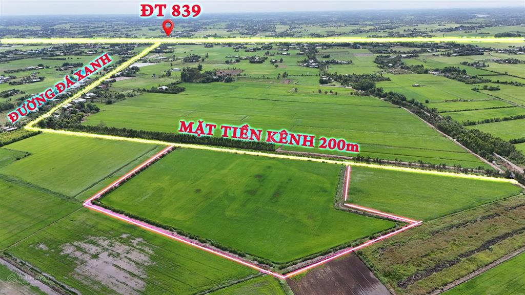 3,5 mẫu đất đường dự án tân an  tân ninh, trung tâm đức huệ giá rẻ đáng đầu tư