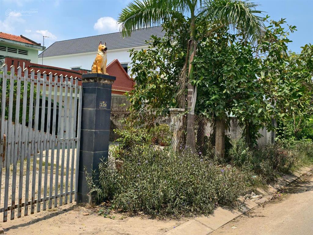 761 m2 đất thổ cư, mặt tiền đt 821 đức hòa, giá ngộp