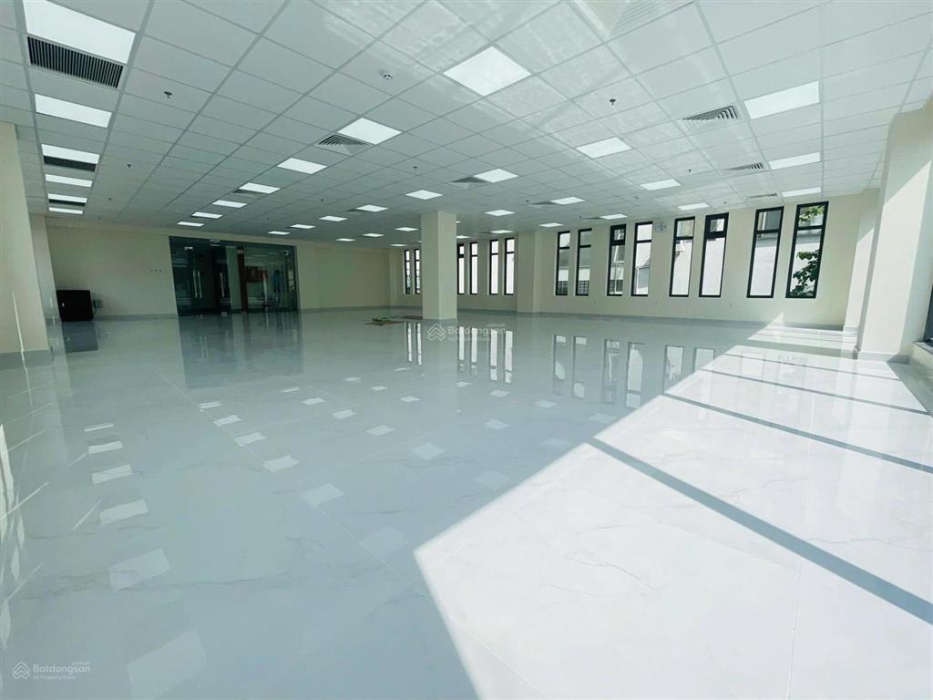 Cho thuê tòa nhà 20a lam sơn, phường tân sơn hòa, thành phố hồ chí minh