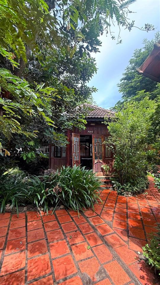 Khu nghỉ dưỡng 40 tỷ với 3089 m2 sẵn dòng tiền