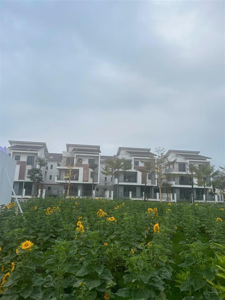 Biệt thự centa riverside tâm điểm đón sóng hạ tầng & dòng tiền phía đông thủ đô