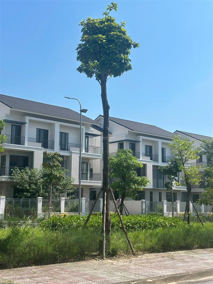 Bán biệt thự song lập ngay thủ đô giá siêu tốt chỉ hơn 60tr/1m2