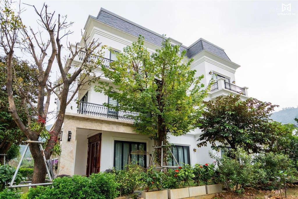 Biệt thự xanh villas khu b giá tốt 17 tỷ một căn diện tích 214 m2 sẵn sổ lâu dài bàn giao ngay