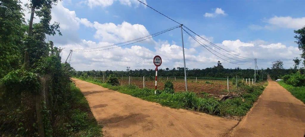 Bán đất nhà vườn lô góc 2 mặt tiền, 1.263m có 100m thổ cư tại lâm san, cẩm mỹ, đồng nai