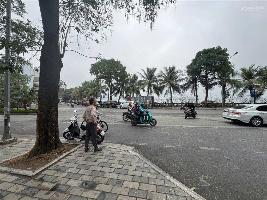 Cho thuê mặt bằng kinh doanh lô góc mặt phố 447 lạc long quân 500m mặt tiền 50m