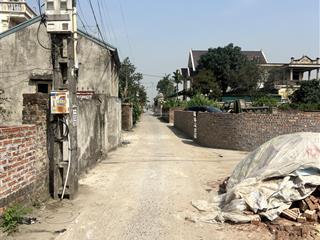 Bán nhanh đất lô góc, đường trục chính mai nội 107m2  50 m ra đường vng