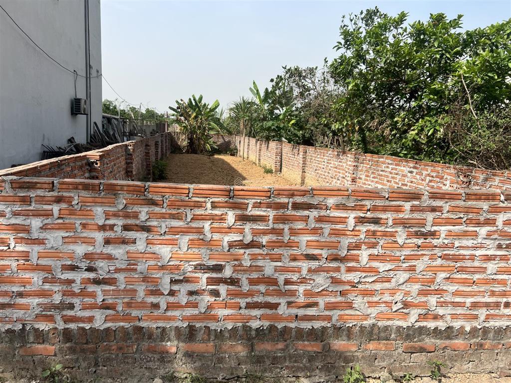 Bán nhanh đất lô góc, đường trục chính mai nội 107m²  50m ra đường vng