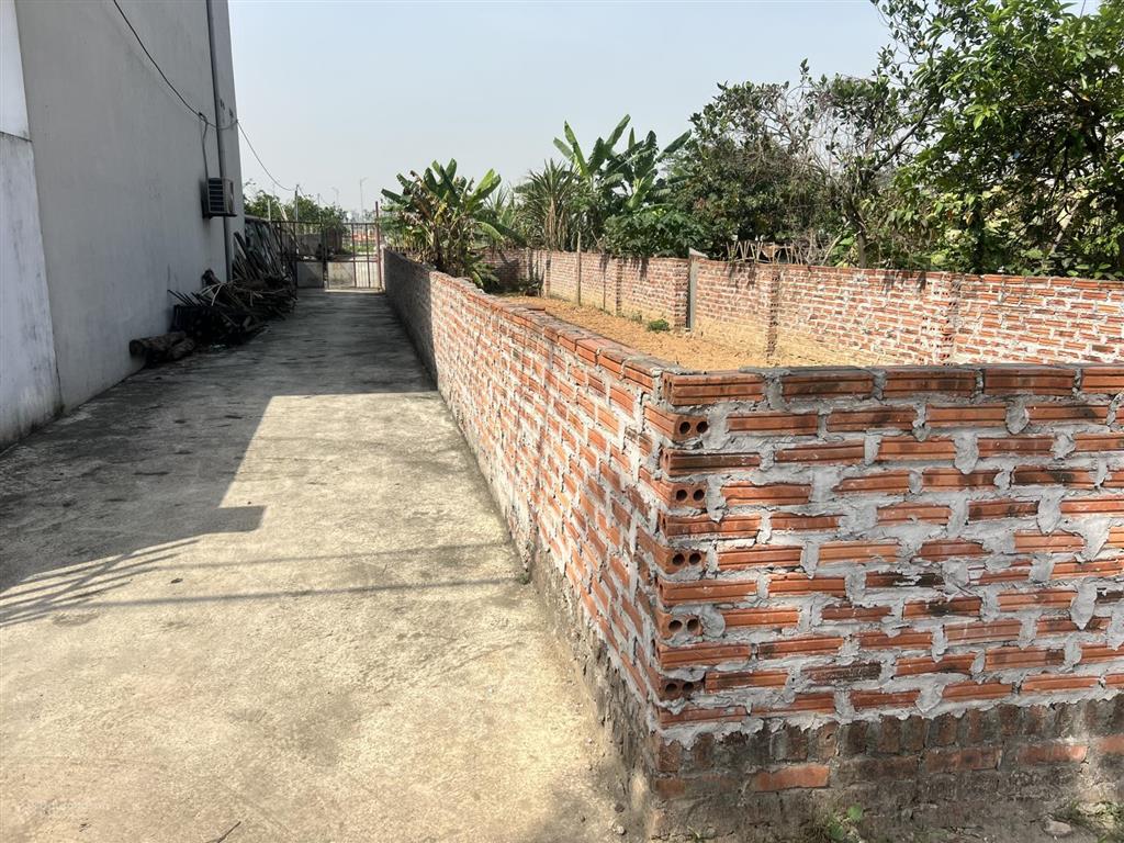 Bán nhanh đất lô góc, đường trục chính mai nội 107m²  50m ra đường vng