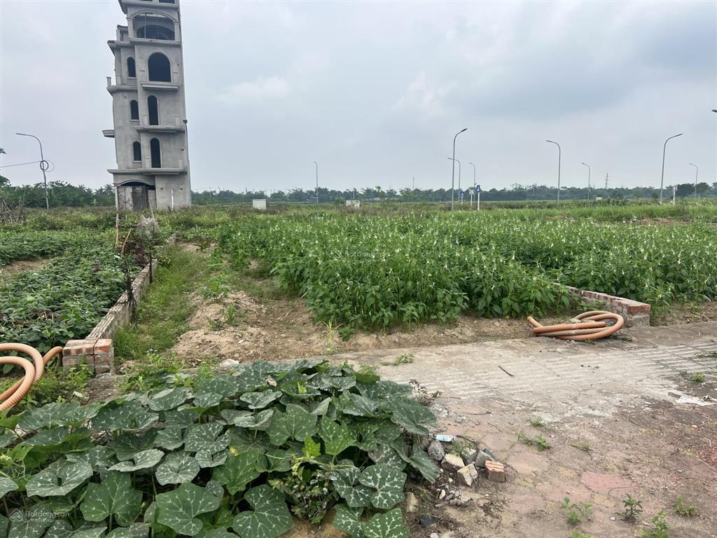 Bán gấp đất nền phân lô sát ngay vinhomes cổ loa, sát đường cầu tứ liên, gần ga tàu cao tốc cổ loa