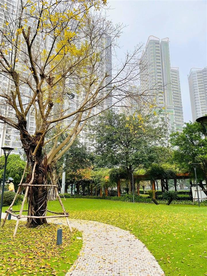 Bán 2 ngủ 2 vs + 1  76 m2  6,9 tỷ  tầng thoáng  chỉ 90 tr/ m2  lumiere evergreen  0914 333 ***