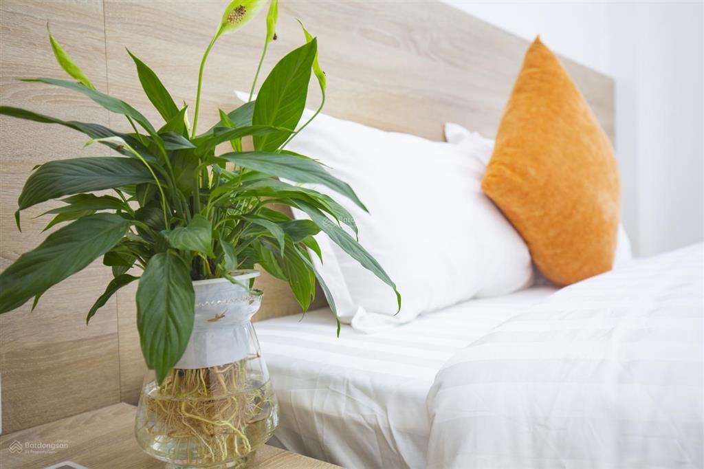 Cho thuê chdv 2 ngủ full đồ đẹp tại ngõ phố kim mã  vào ở luôn  có xuất hoá đơn vat  có bv 24/24