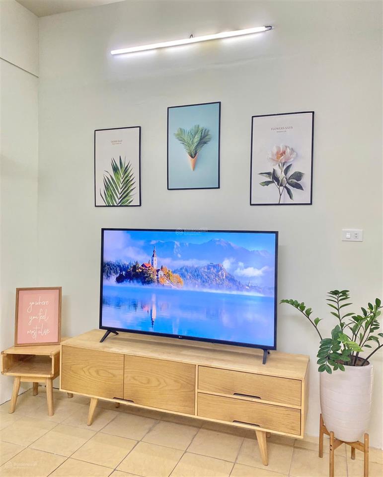 Cho thuê căn hộ n03 trần quý kiên  trần đăng ninh, cầu giấy