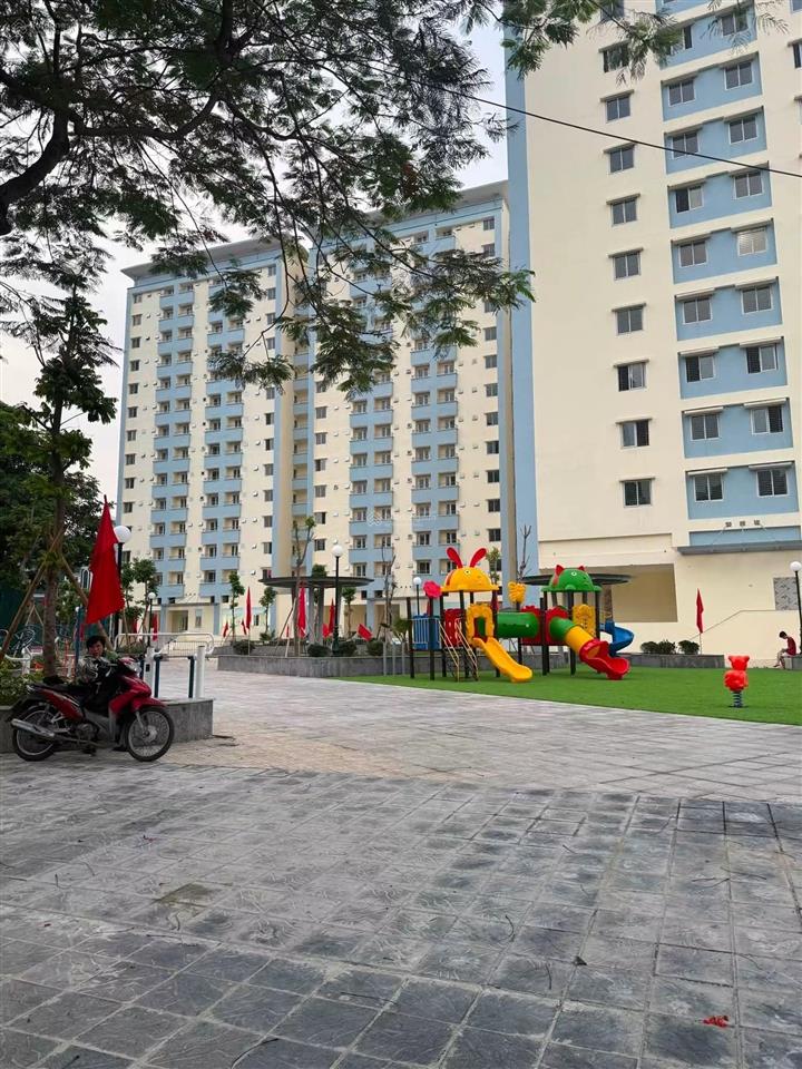 Chính chủ cần cho thuê căn hộ n01d17 trần thái tông thành thái