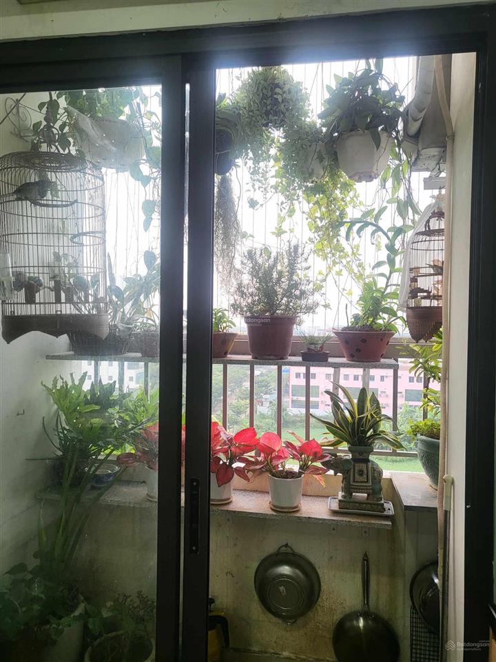 Chính chủ bán gấp căn 2 pn osaka linh đàm  56m2 siêu đẹp view hồ linh đàm   0338 739 ***