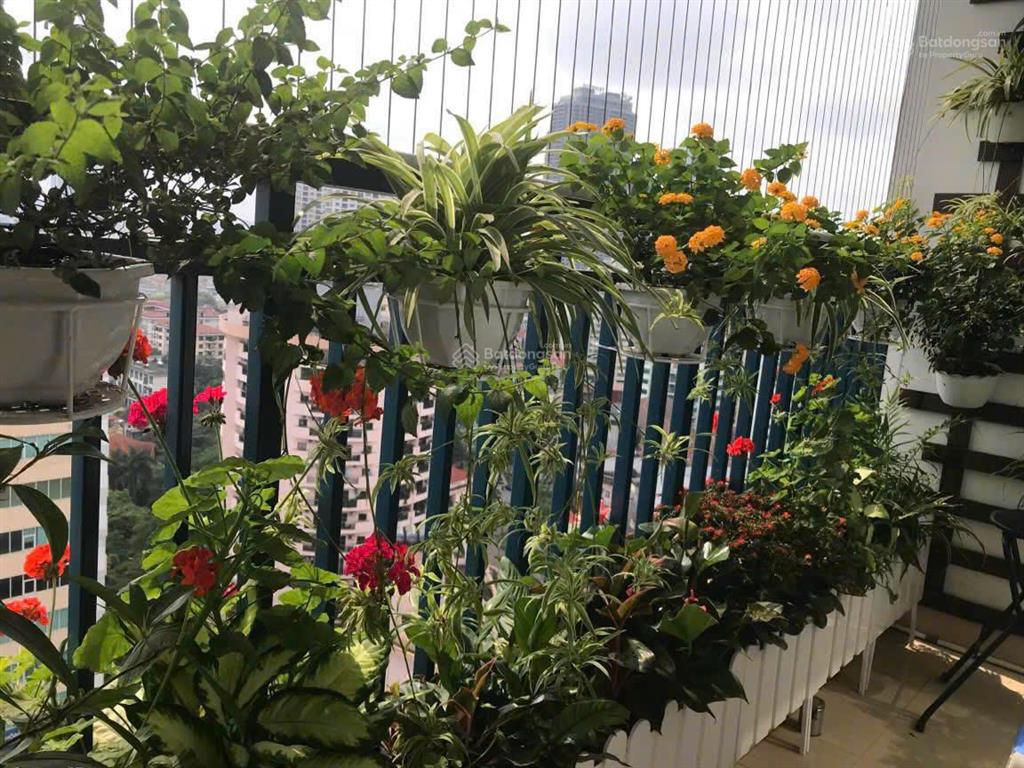 Nhà em bán căn hộ 172m2, 3pn góc view đẹp tòa pacific 83 lý thường kiệt giá 92tr/m2.  0888 486 ***