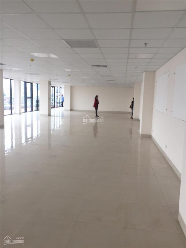 Cho thuê vp tòa ad building 82 dịch vọng hậu dt 220m2