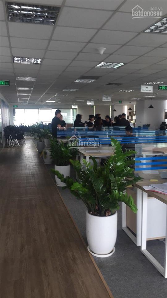 Cho thuê vp tòa richy tower, mạc thái tông, 100m2 240 nghìn/m2/th