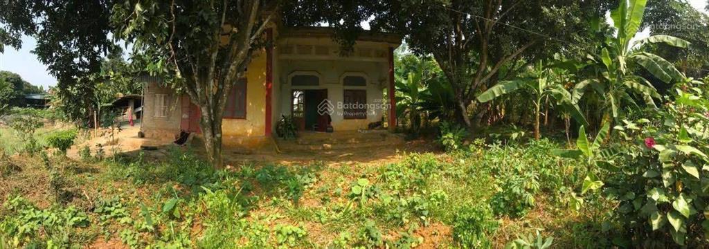 Cần bán đất hòa bình, 500m thổ cư, yên lạc 0833 884 ***