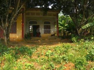 Cần bán đất hoà bình, 500m thổ cư, yên lạc 0833 884 ***