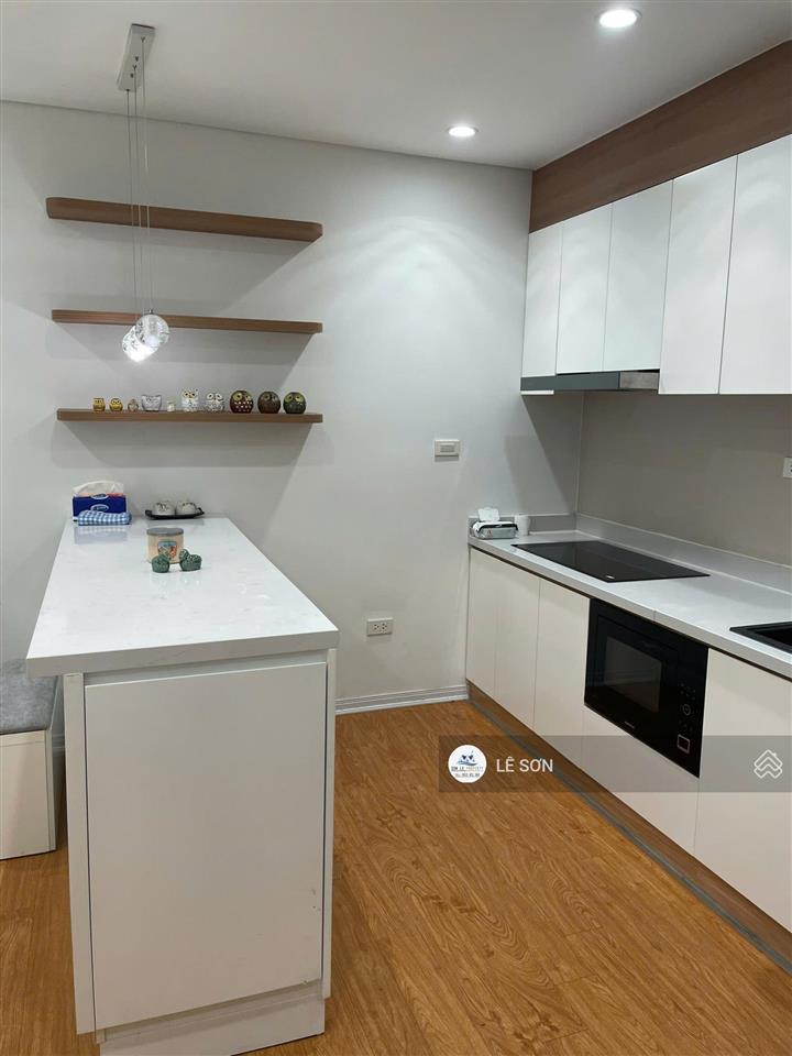 Cho thuê căn hộ hongkong tower 50m², 1pn, full nội thất hiện đại, vào ở ngay  0915 651 ***