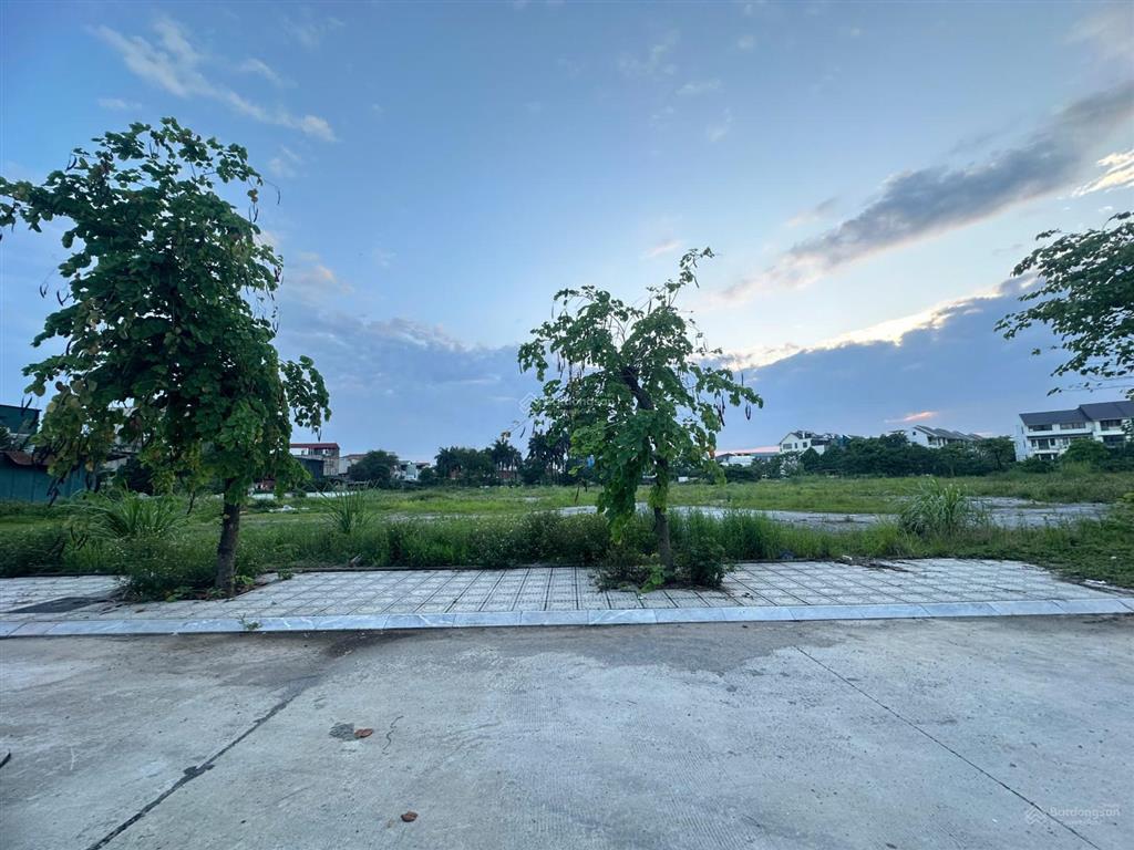 Cho thuê đất đường 446, phú cát, dt 5.500m2. (cách ngã tư vai réo 500m)có sổ đỏ. giá 10 nghìn/m2/th