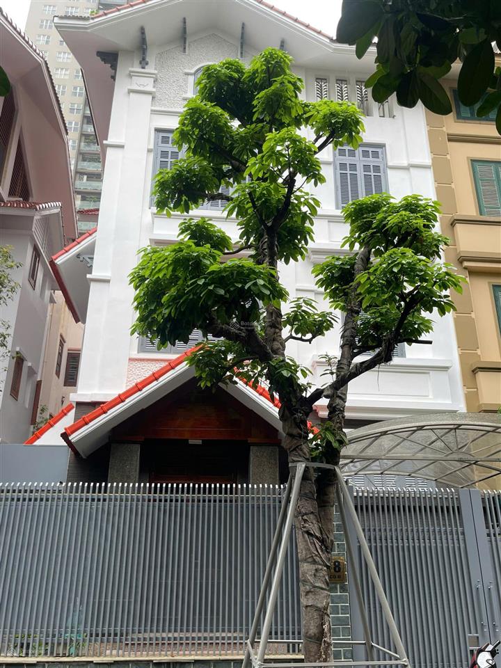 Cho thuê biệt thự vimeco nguyễn chánh, dt 140m, xd 90m, 4 tầng, 1 hầm, mới đẹp. giá 60 triệu