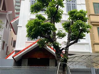 Cho thuê biệt thự vimeco nguyễn chánh, dt 140m, xd 90m, 4 tầng, 1 hầm, mới đẹp. giá 60 triệu