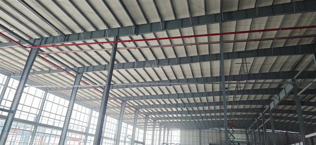 Cho thuê kho xưởng cụm cn châu giang, dt 12000m2