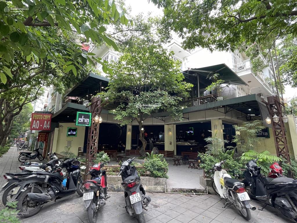 Cho thuê nhà mặt phố quang trung diện tích 500m2,mặt tiền 25m, vị trí đẹp nhất