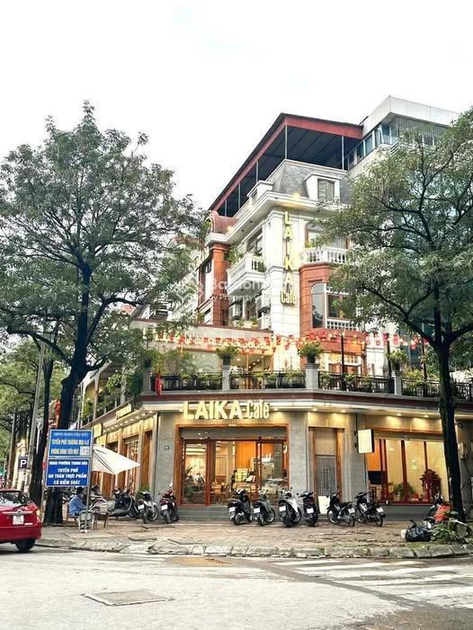 Cho thuê nhà mặt phố huỳnh thúc kháng diện tích sử dụng tới 500m2, mặt tiền lô góc 12m/15m