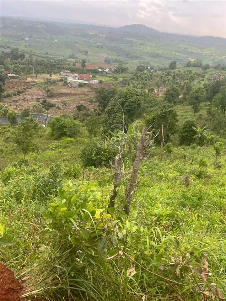 Bán hơn 5000m2 đất xã đak mil, tỉnh lâm đồng (mới)
