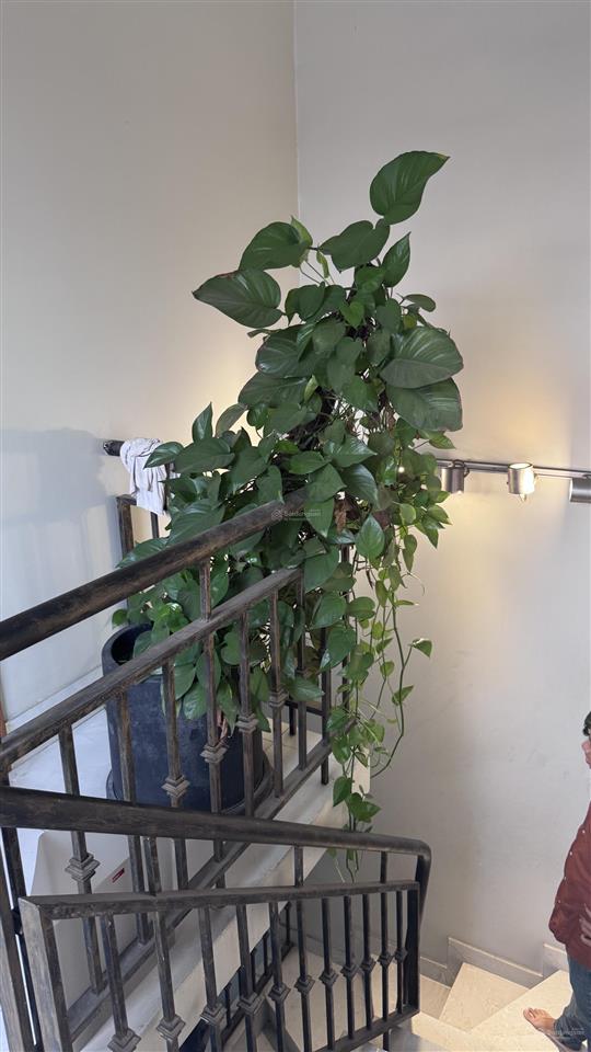 Bán nhà 3 tầng lầu khu dân cư an sương phường đông hưng thuận quận 12