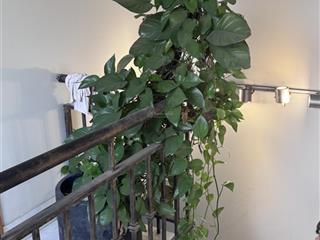 Bán nhà 3 tầng lầu khu dân cư an sương phường đông hưng thuận quận 12