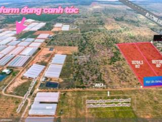 Đón sóng sân bay phan thiết khởi công  2ha đất hòa thắng giá còn chân sóng