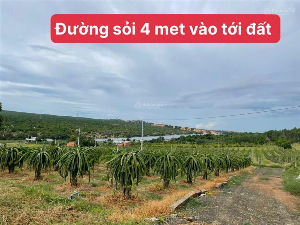 Lô đất view trực diện bàu trắng cách biển 8 phút, gần sungroup sổ đỏ chỉ với 1,85 tỷ sở hữu 3.724m2